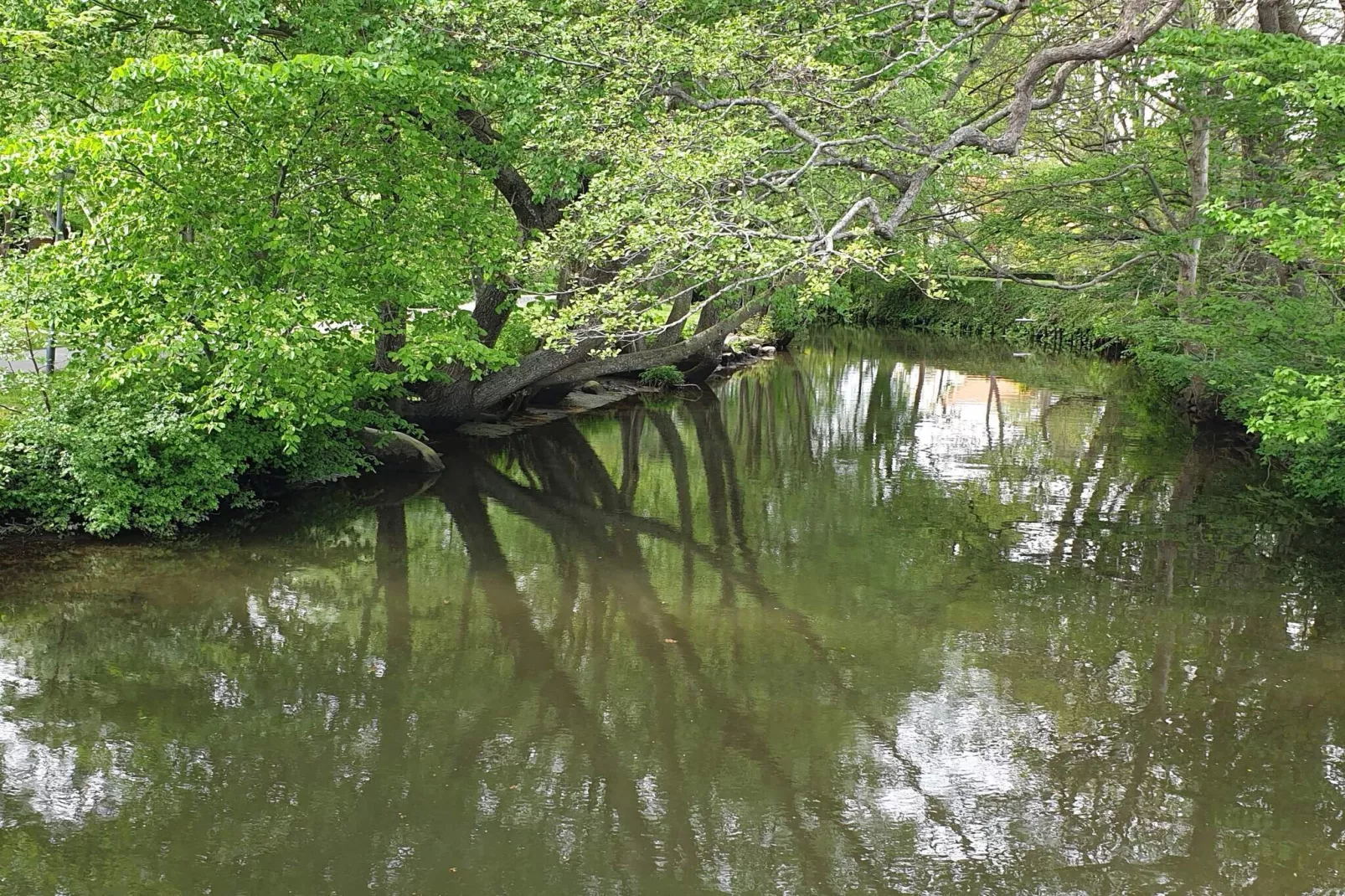 8 person holiday home in Sæby-By Traum-Water view