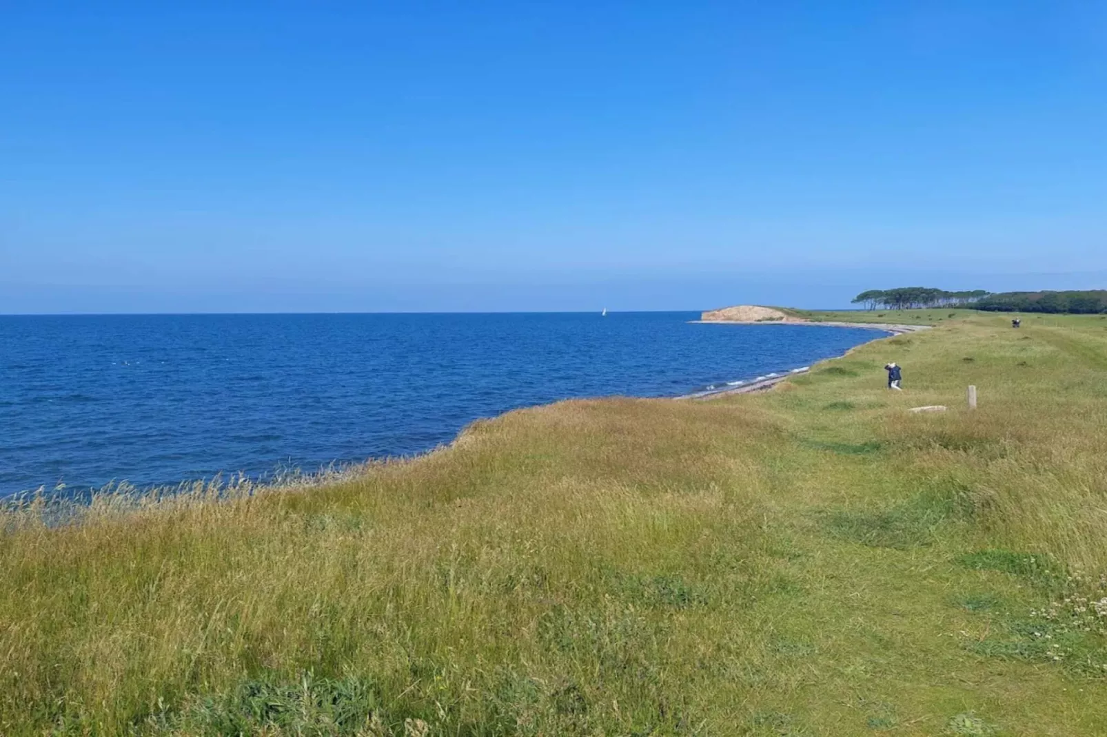 Family cottage for eight guests - Water view