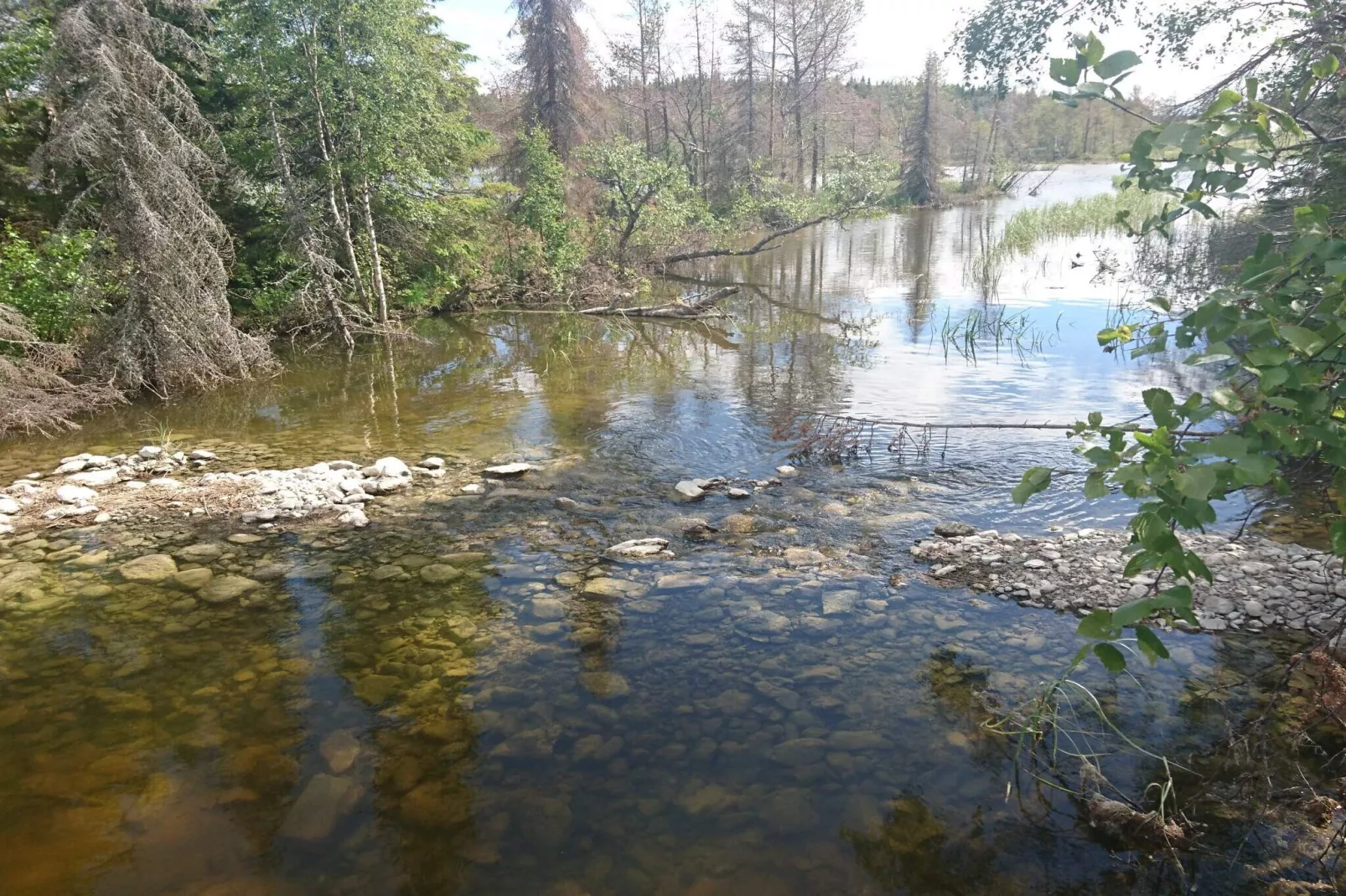 Rotes Bauernhaus in der Nähe von Forsheda-Wasserblick