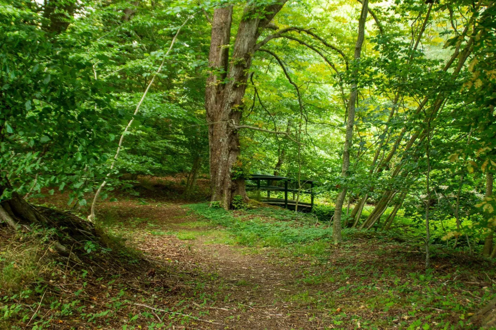 6 person holiday home in Øster Assels-By Traum-Untagged