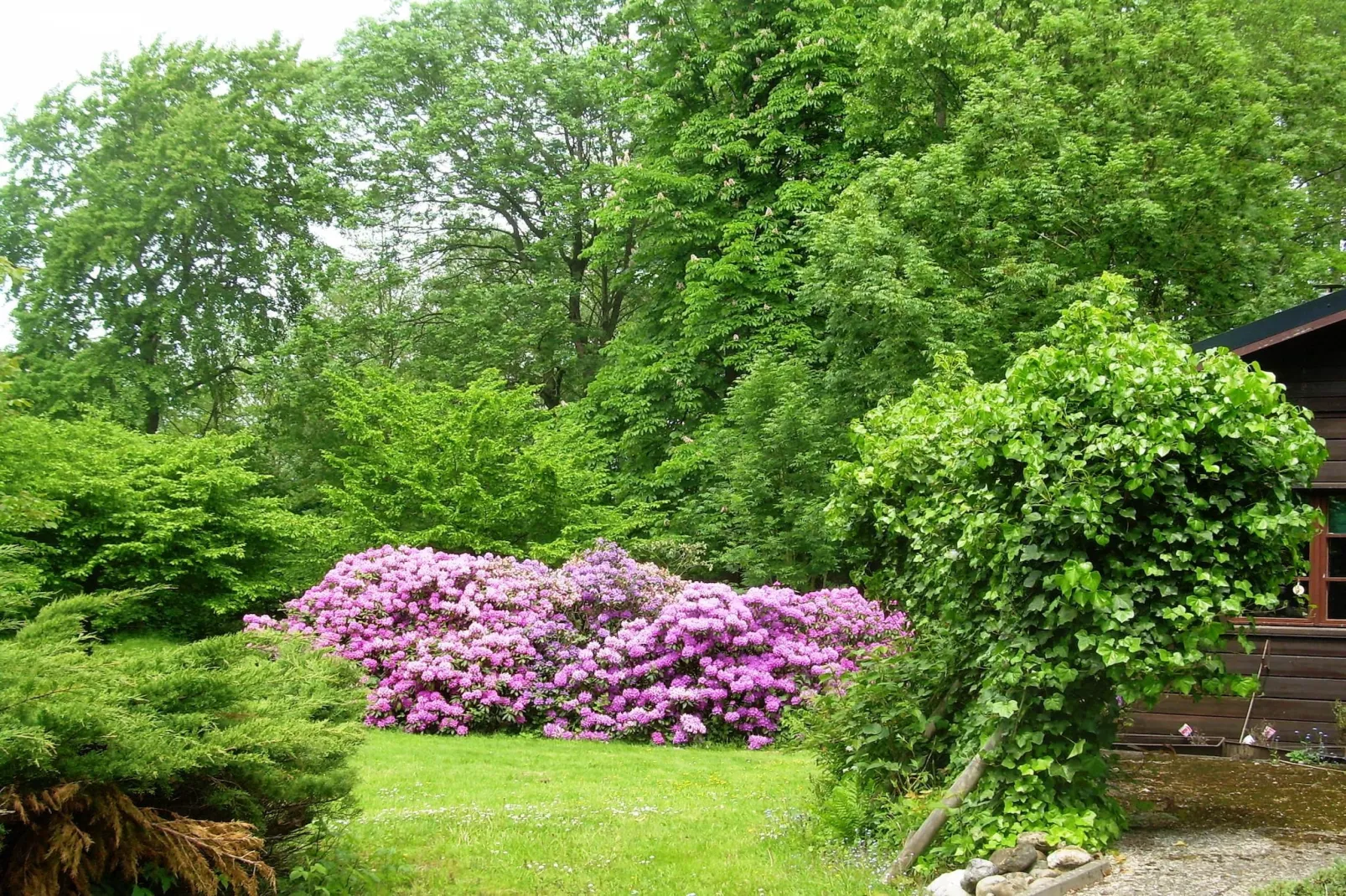 Lüneburger Heide-Garten Sommer