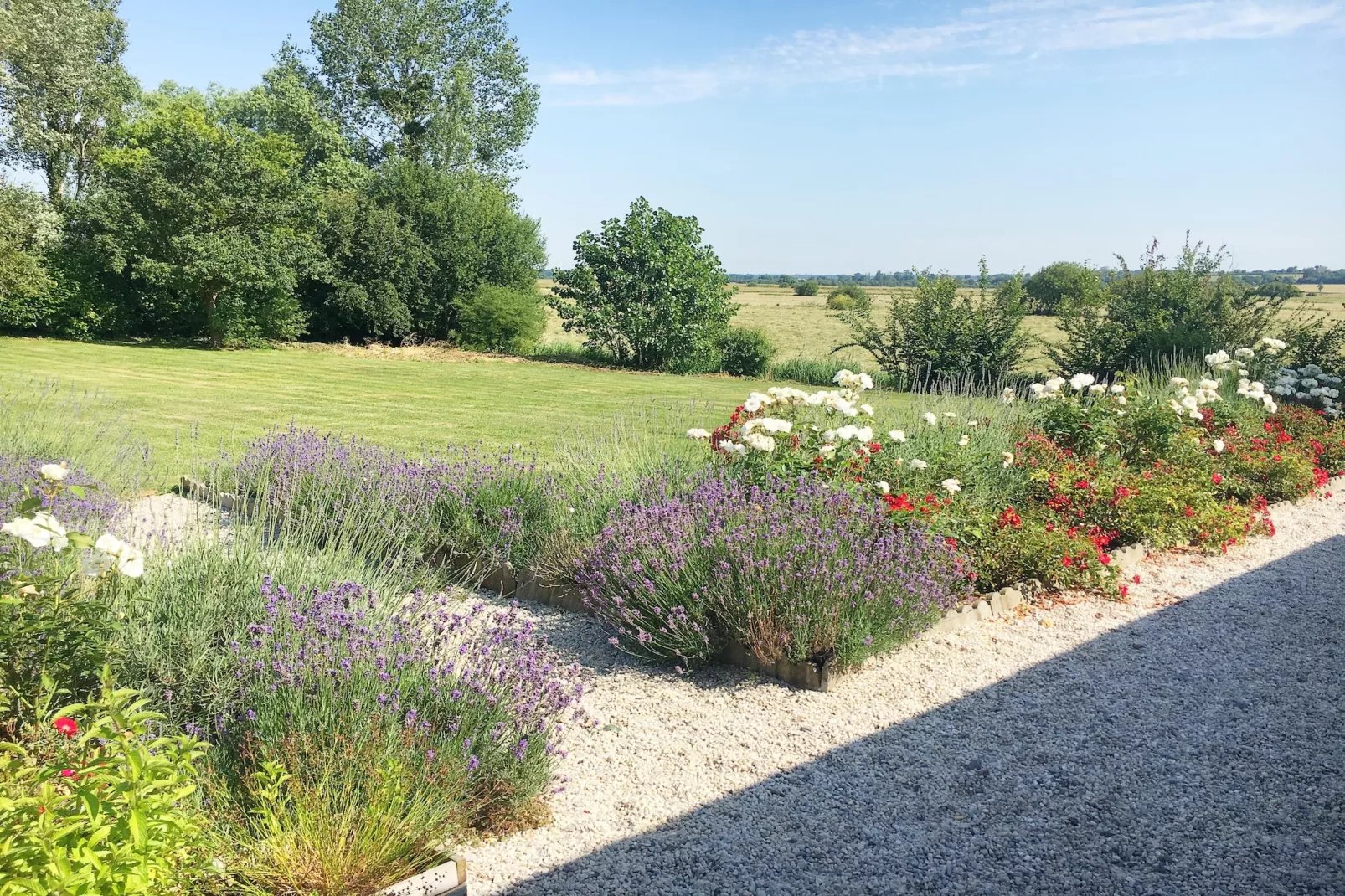 Gite Le Jonquet-Gardens in summer