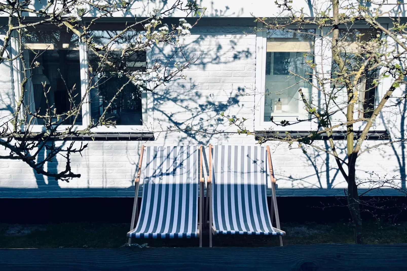 INFINITY-Gardens in summer