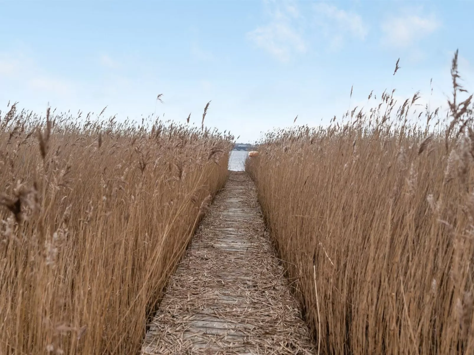 "Caren" - 125m to the fjord-Dehors