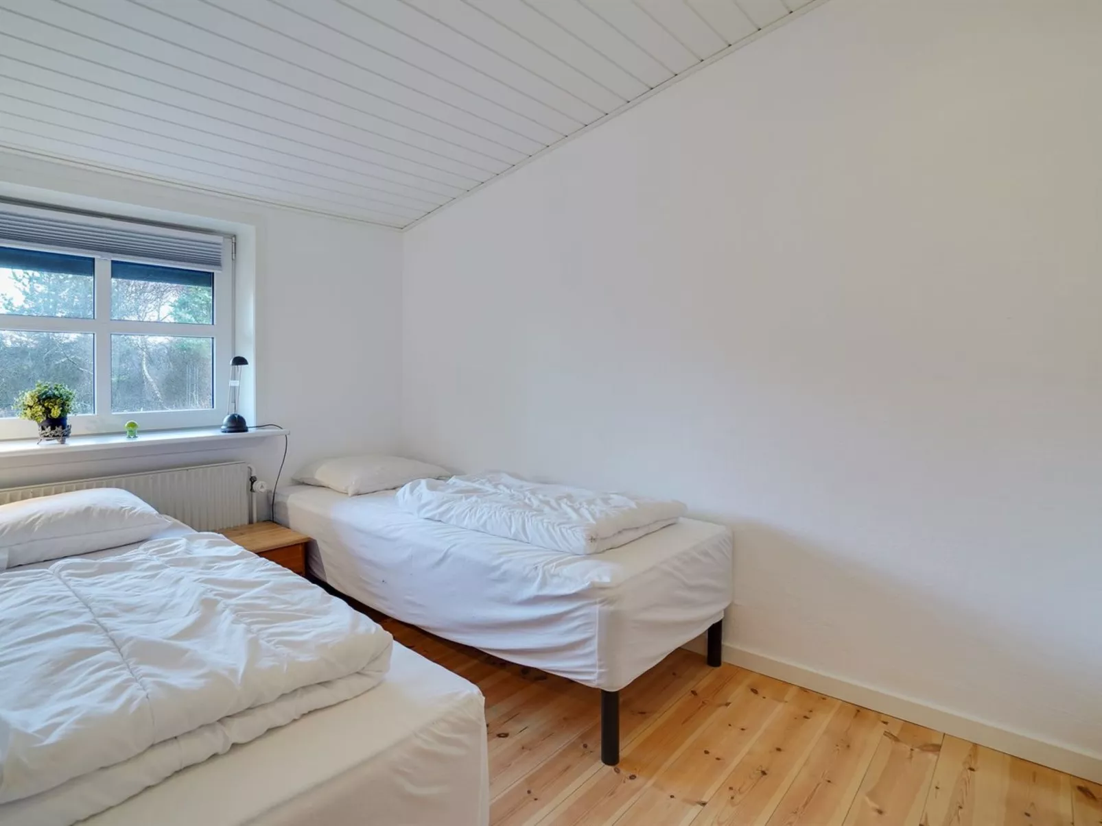 "Pelle" - 800m from the sea-Dedans