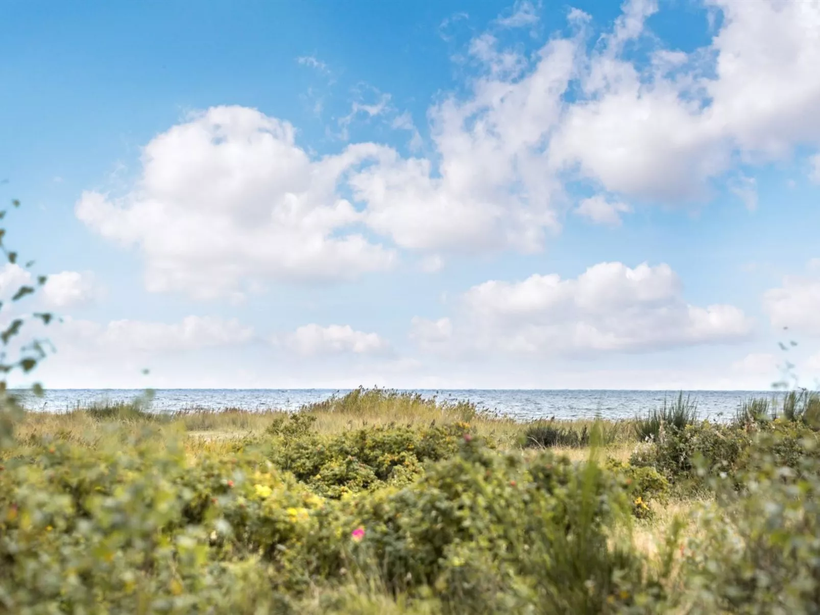 "Mumme" - 100m from the sea-Outside