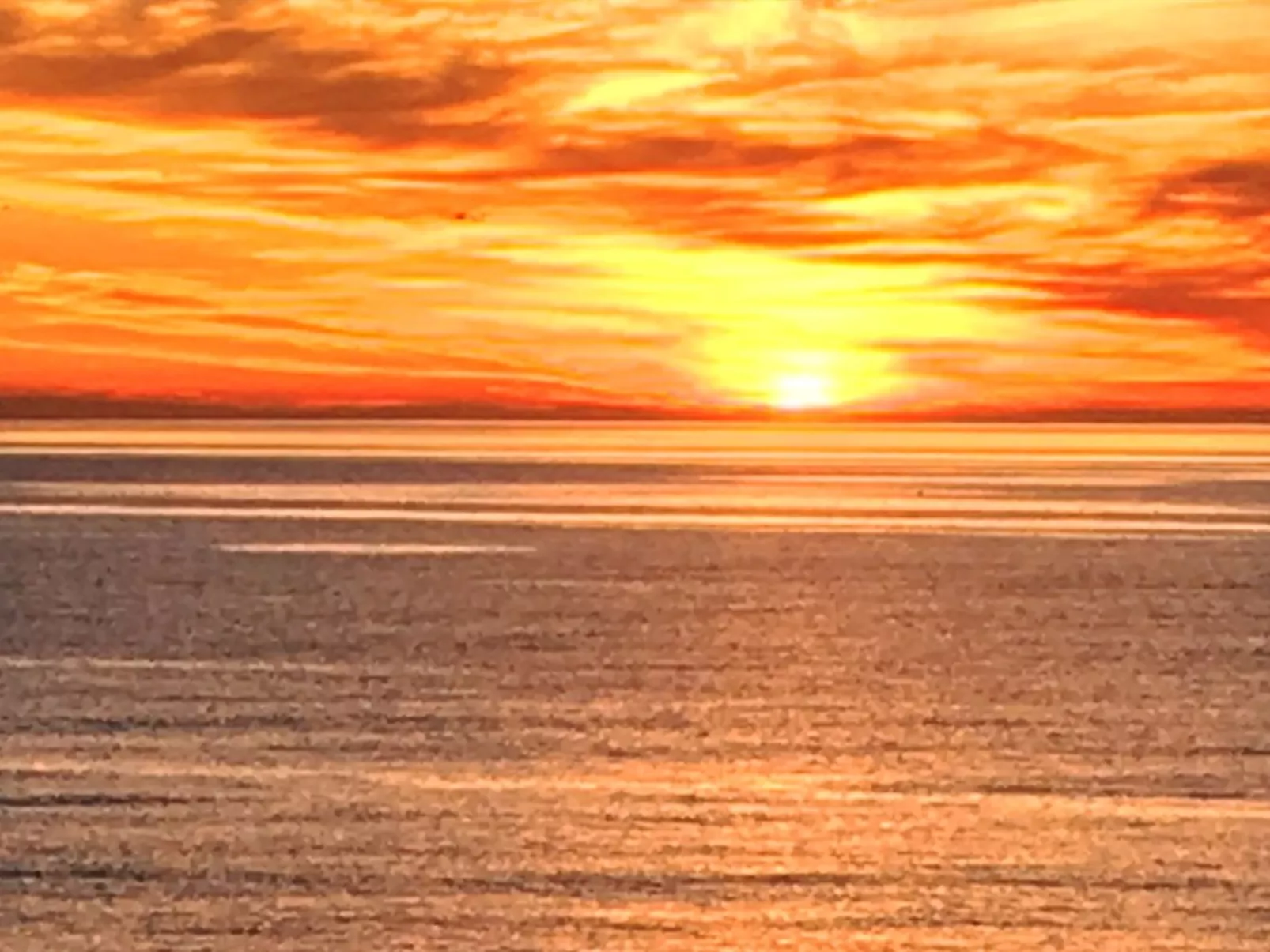 "Märta" - 300m from the sea-Outside