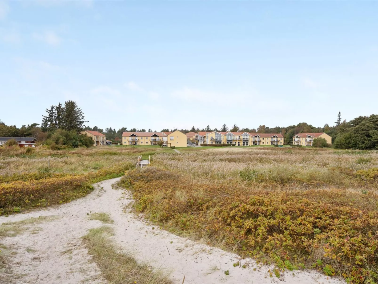 "Amaryllis" - 100m from the sea-Dehors