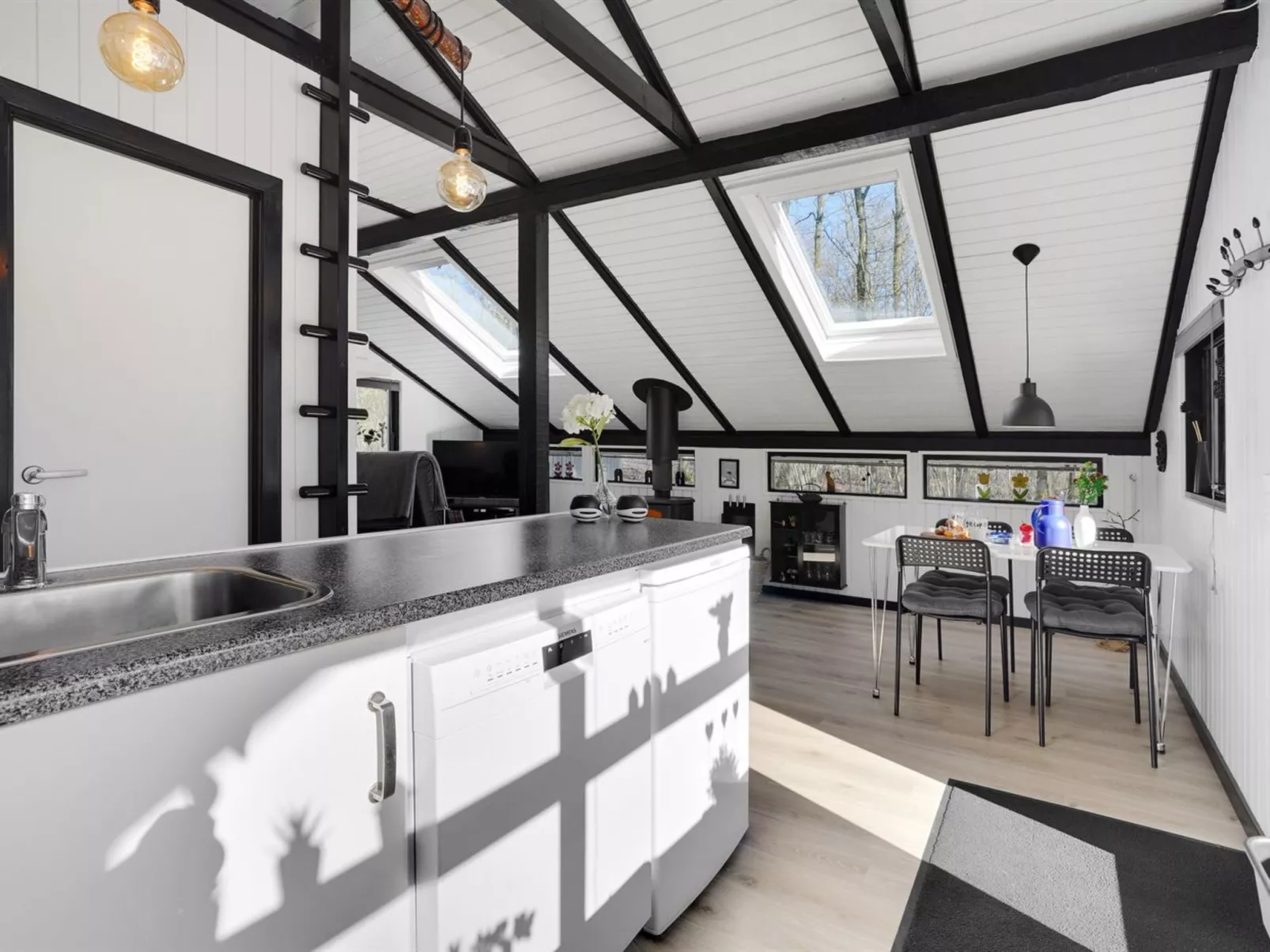 "Elisabeta" - 28km from the sea-Inside