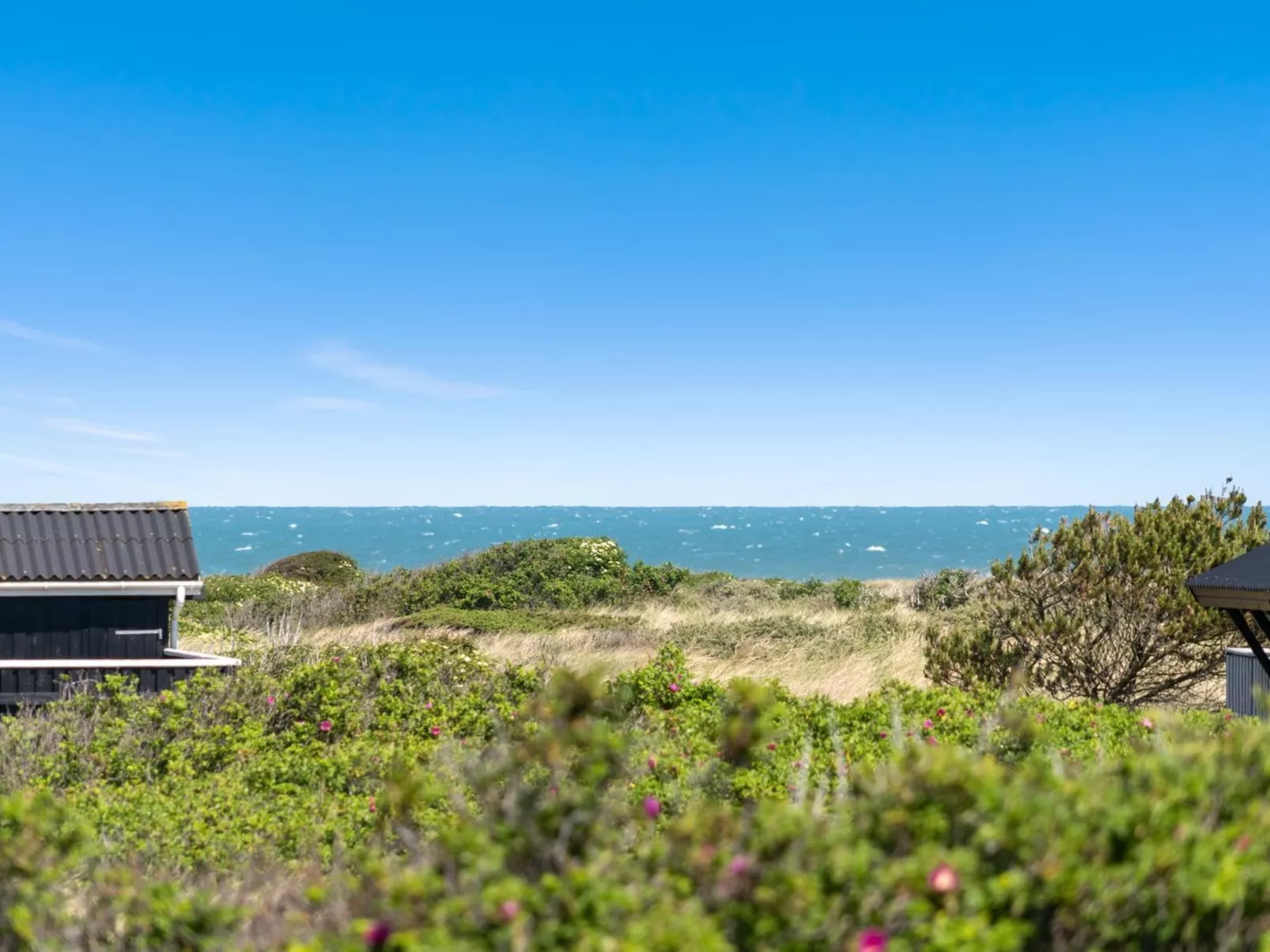 "Elea" - 394m from the sea-Draußen