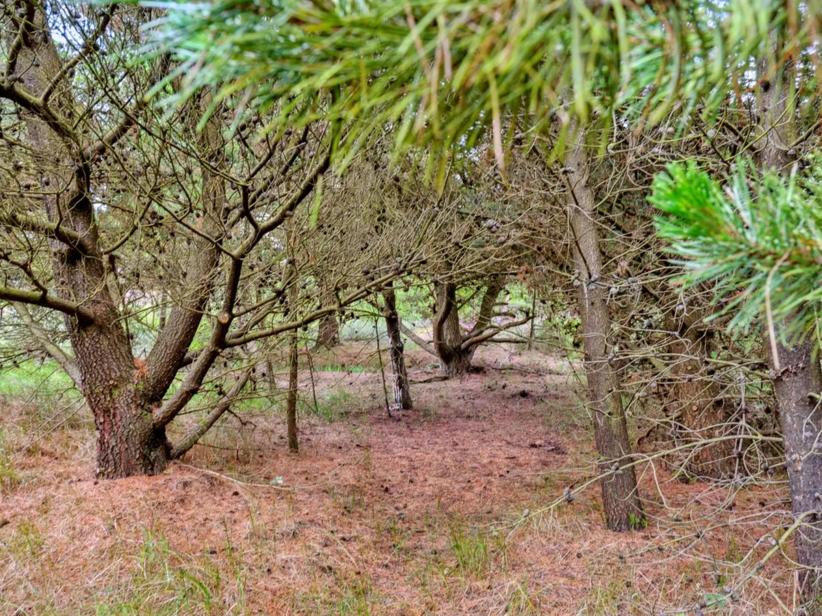 "Urpo" - 6km from the sea-Outside