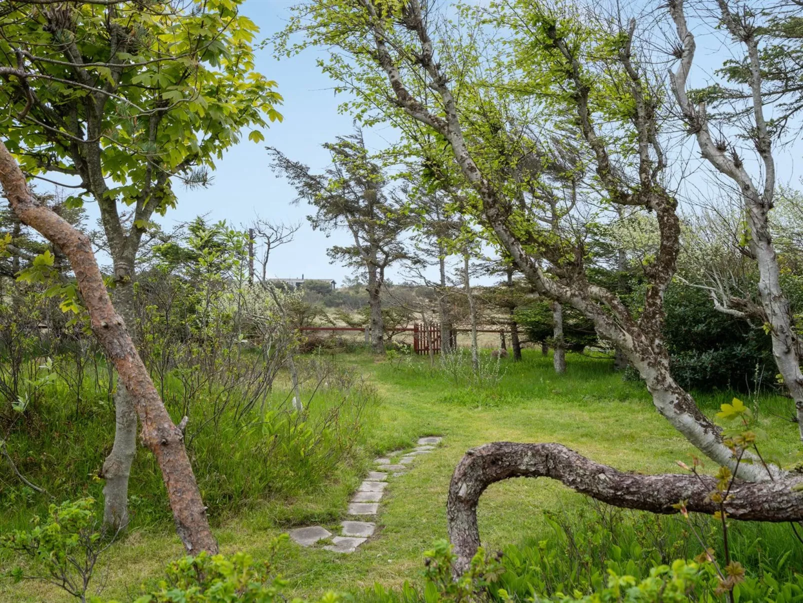 "Helny" - 300m from the sea-Outside