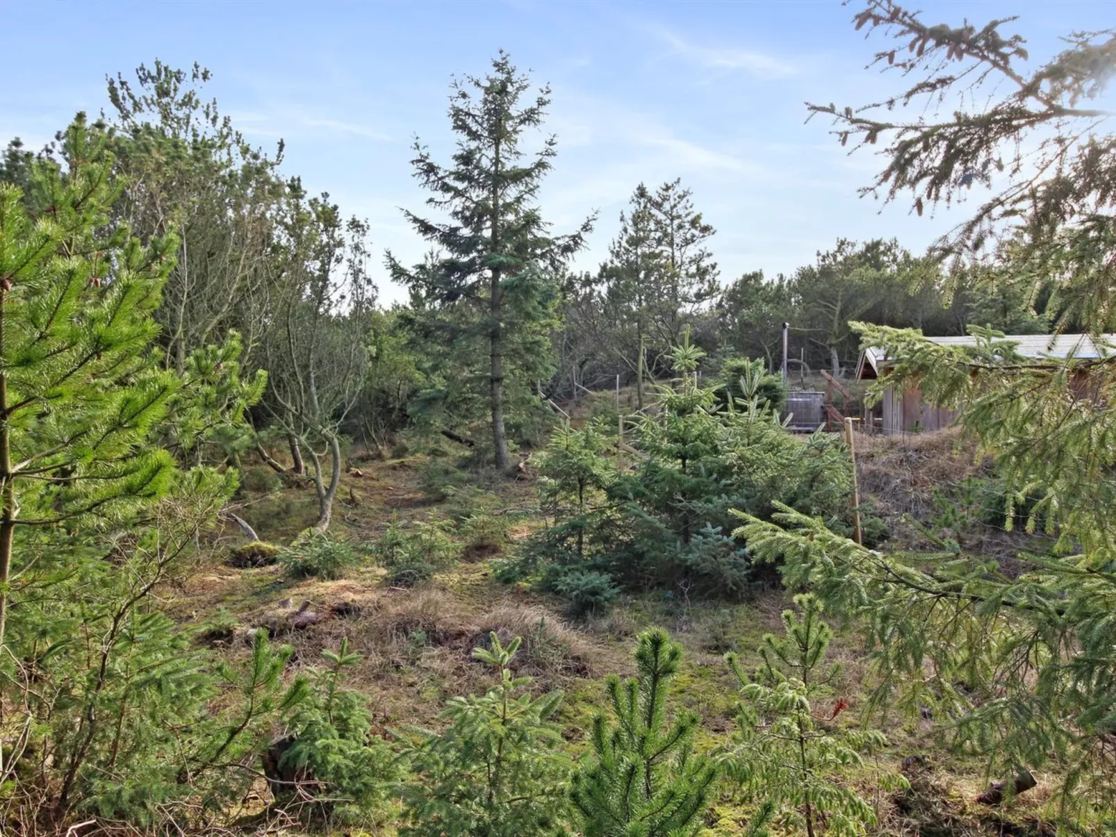 "Laurin" - 600m from the sea-Dehors