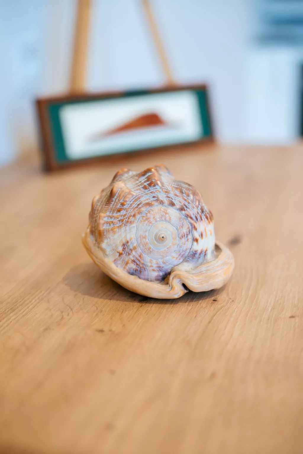 Résidence Les Terrasses-Dedans