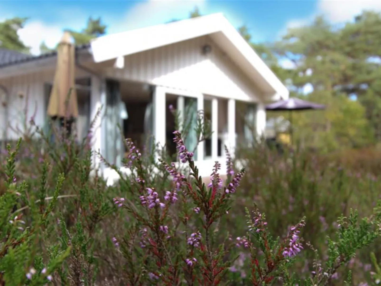 "Minka" - 300m from the sea-Outside