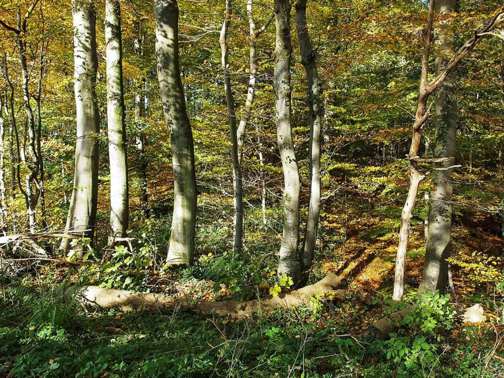 "Henrijette" - 200m from the sea-Outside