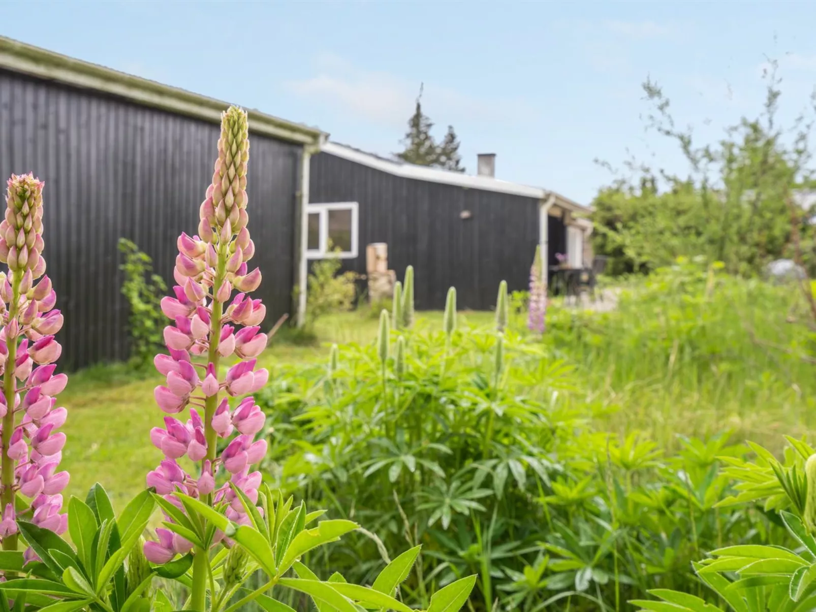 "Landolf" - 250m from the sea-Draußen