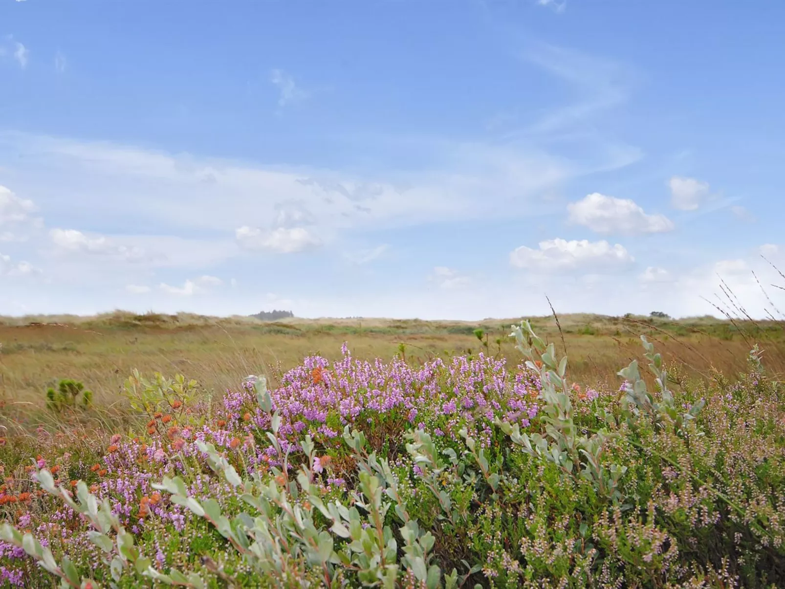 "Margrethe" - 1.1km from the sea-Draußen