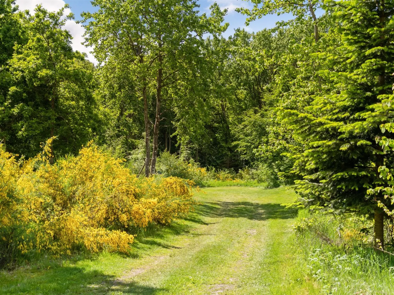 "Gunward" - 1.5km from the sea-Outside