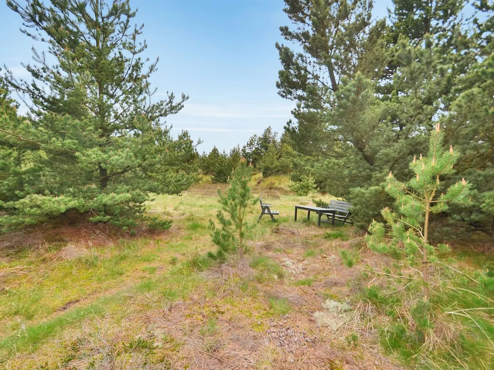 "Ernst" - 700m from the sea-Dehors