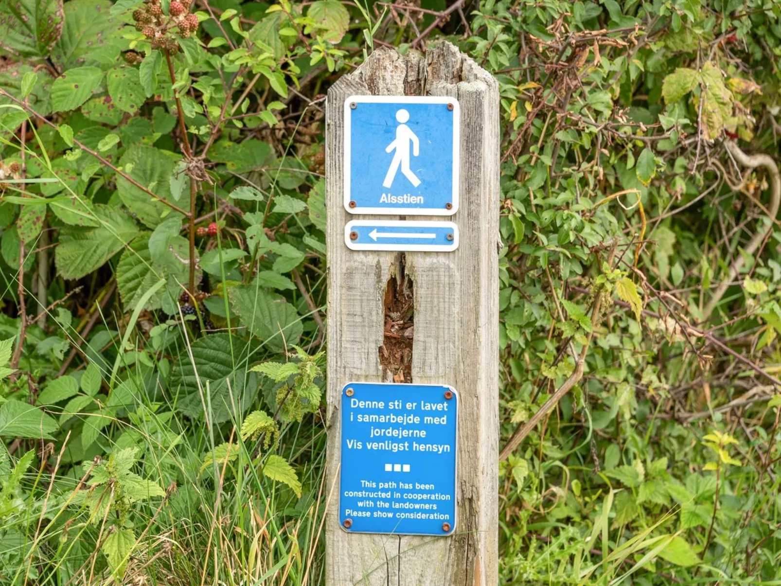 "Gudmunde" - 200m from the sea-Dehors