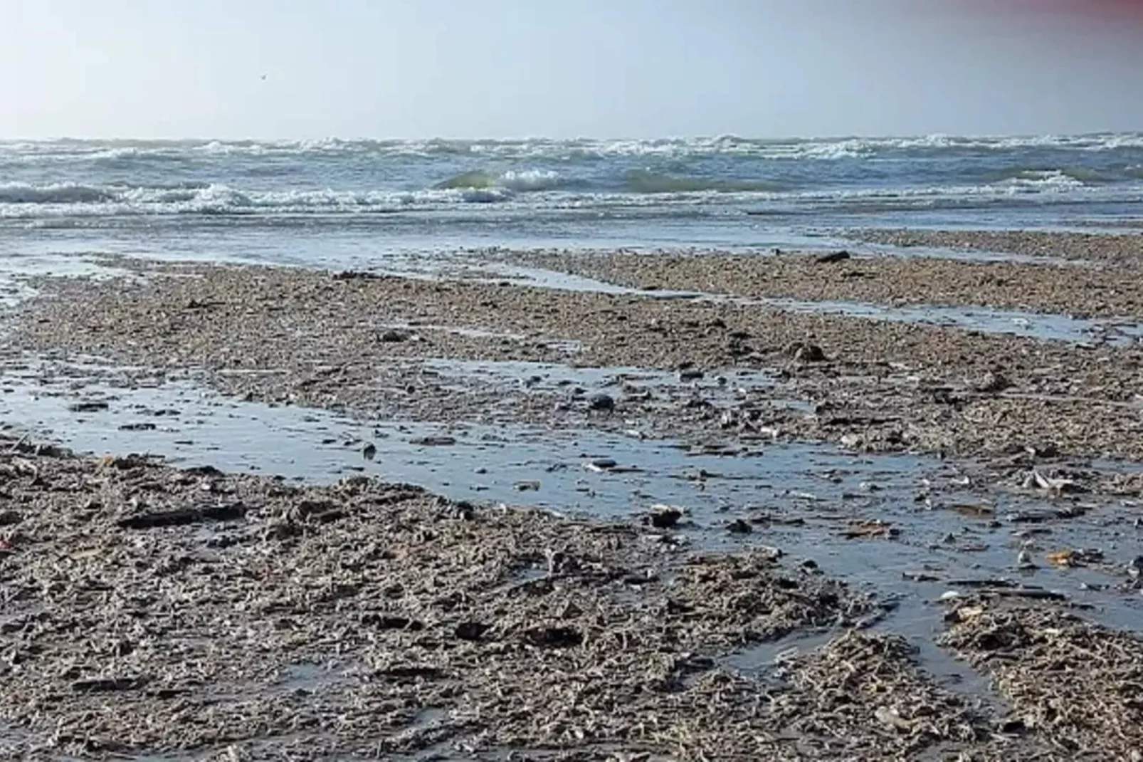 Maison de vacances pour 10 a Blåvand-Vue sur l'eau