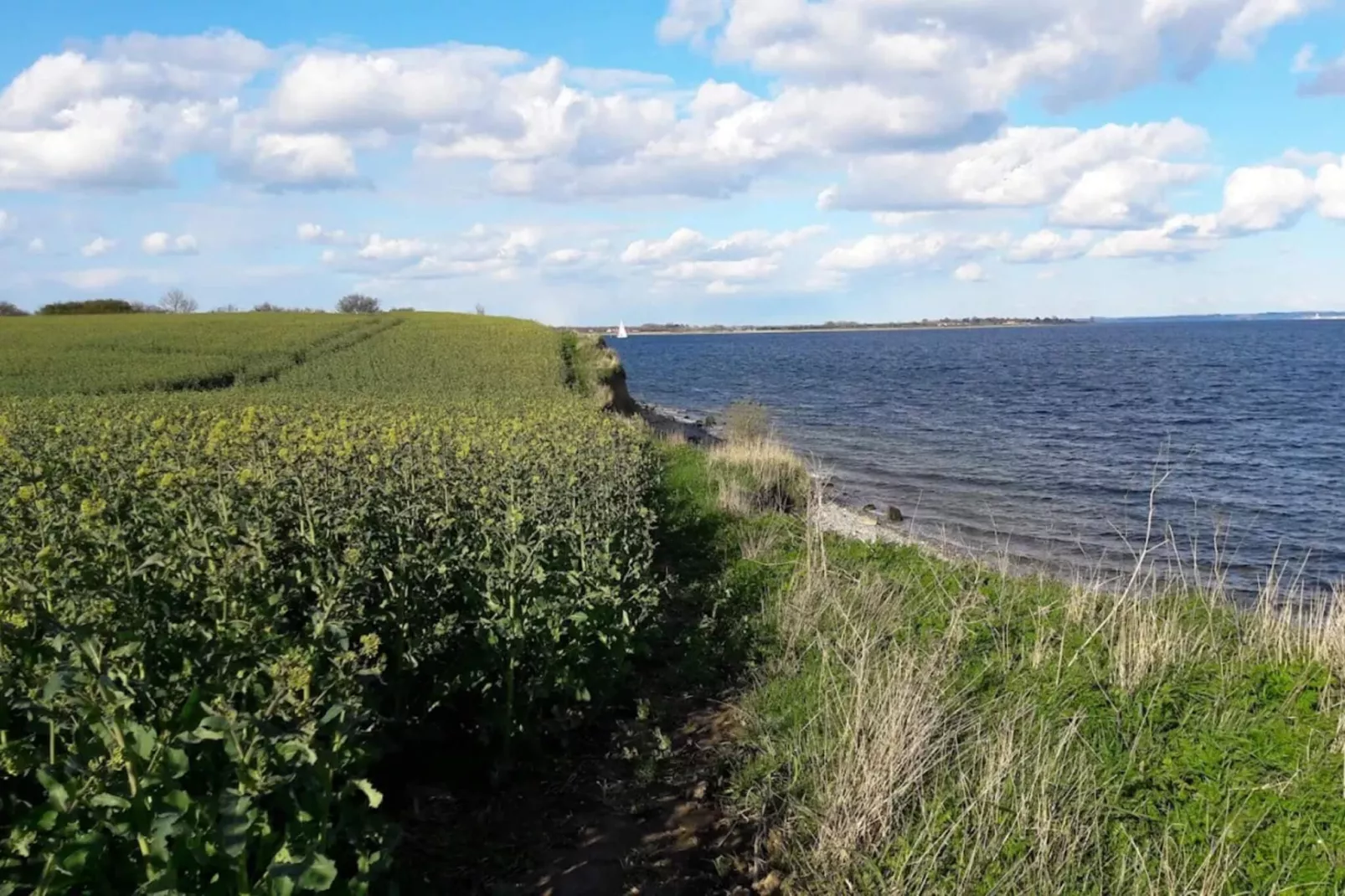 4 person holiday home in Haderslev-Water view