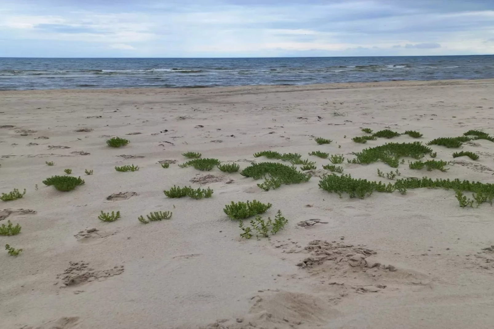 5 star holiday home in Ålbæk-By Traum-Water view