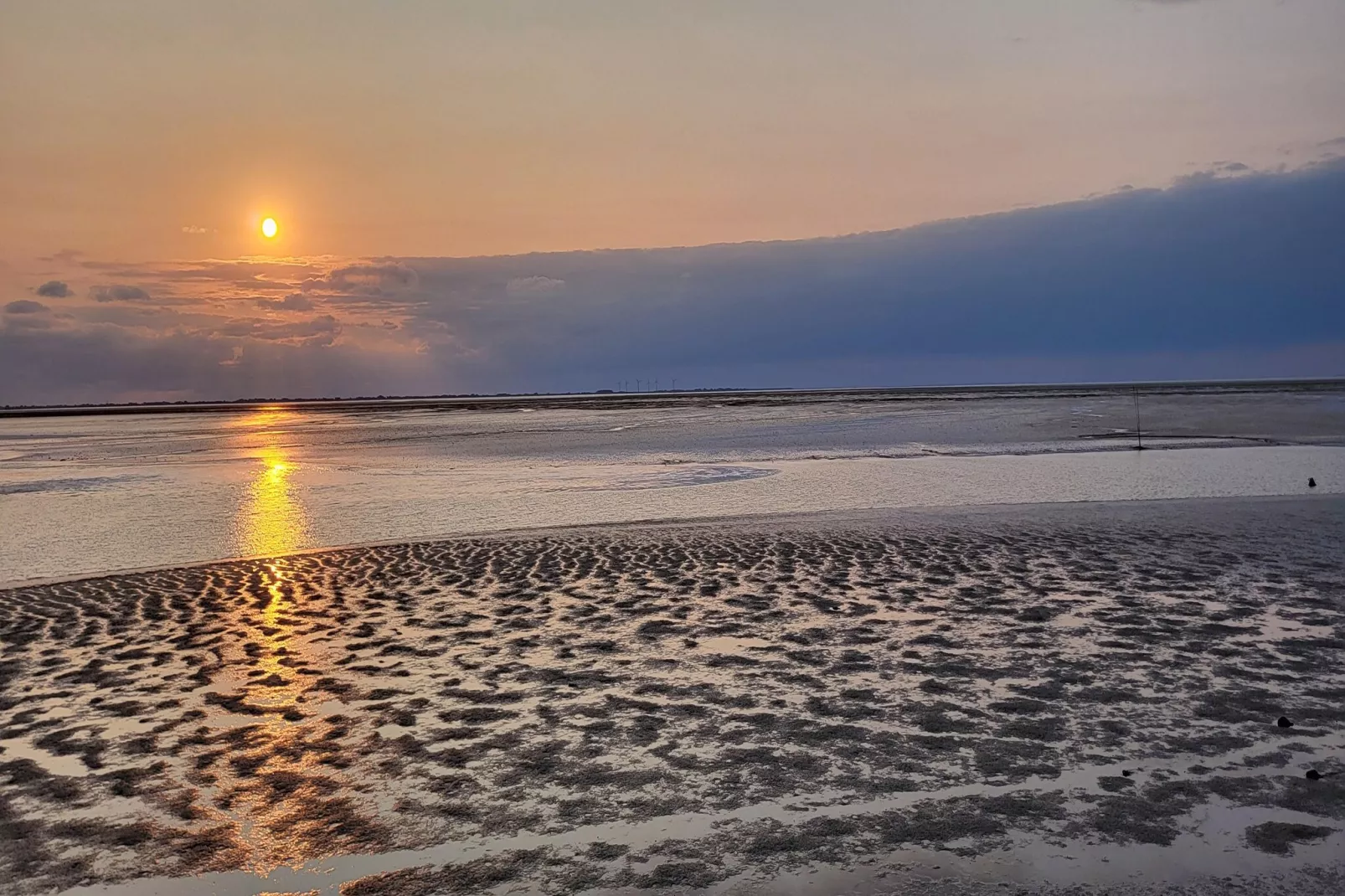 SeeZeichen auf Nordstrand - 4 Personen-Areas within 5km in summer