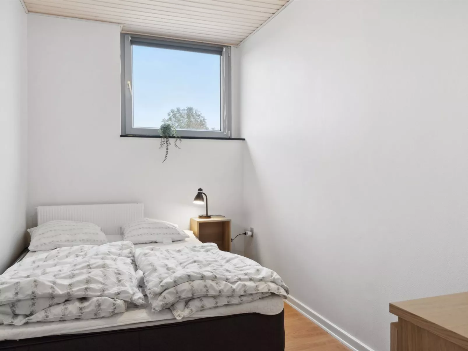 "Elaine" - 350m from the sea-Inside