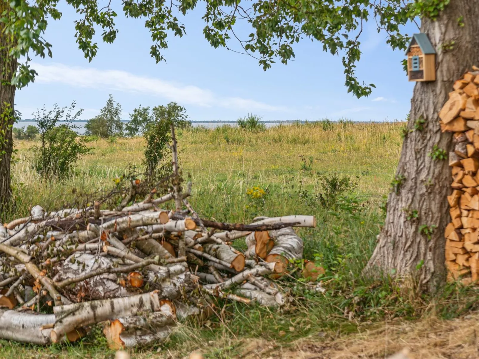 "Aurore" - 1.3km from the sea-Outside