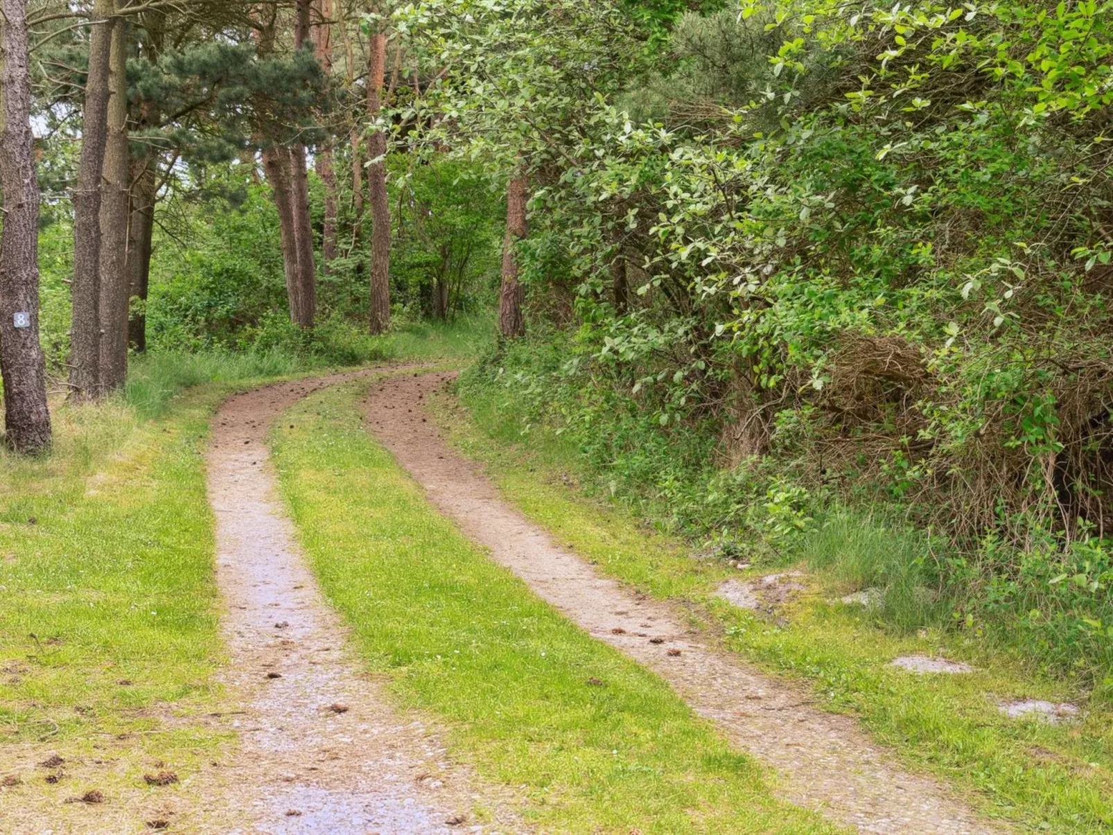 "Keyla" - 3.2km from the sea-Outside