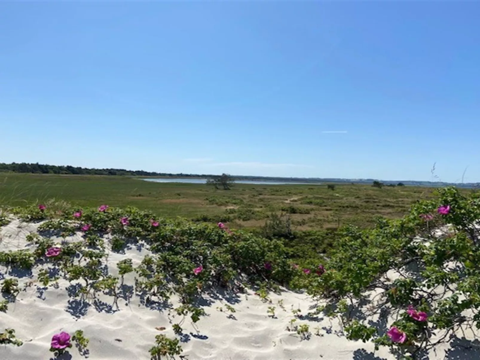 "Tinja" - 900m from the sea-Outside