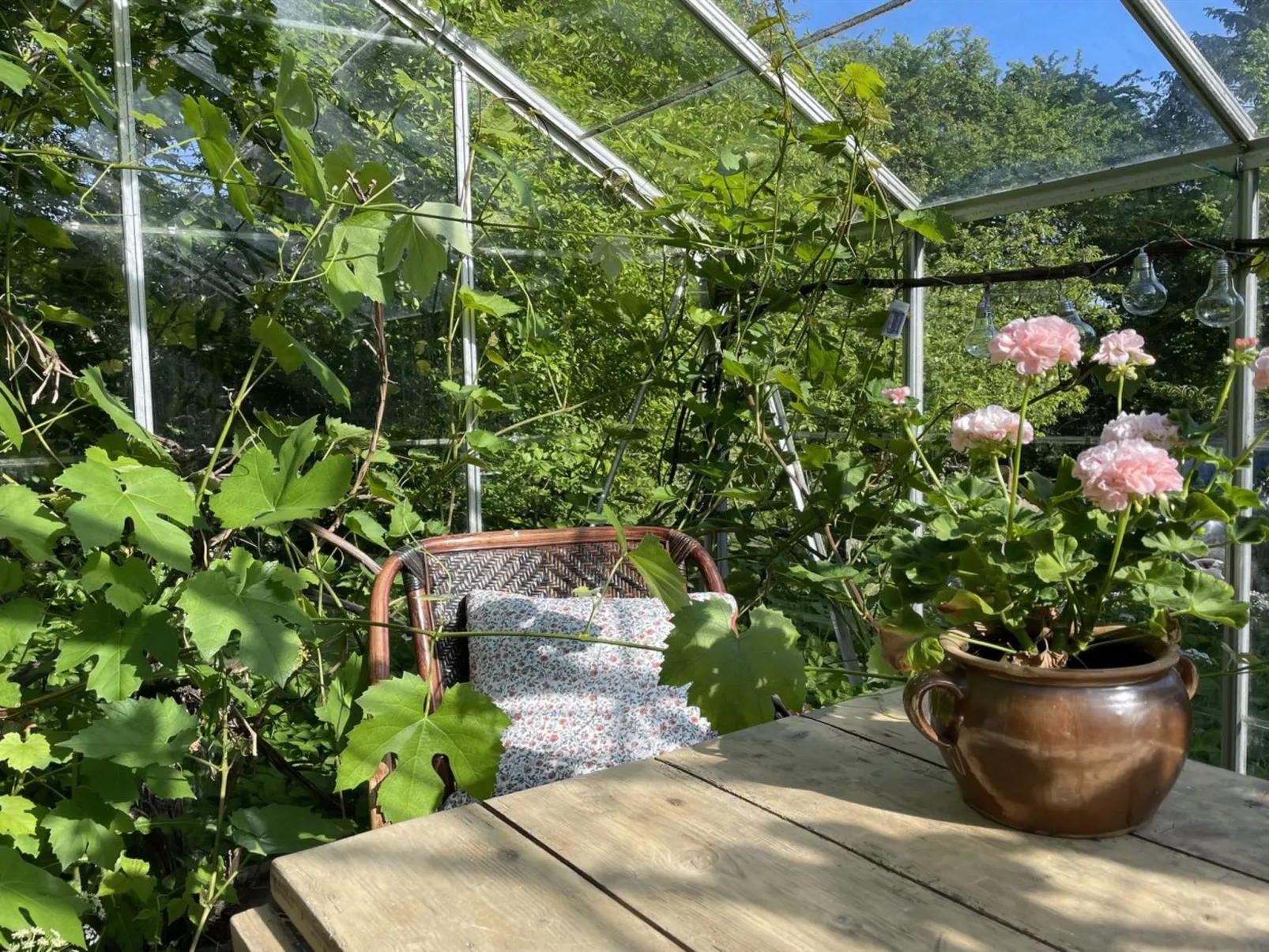 "Elvin" - 2.7km from the sea-Outside