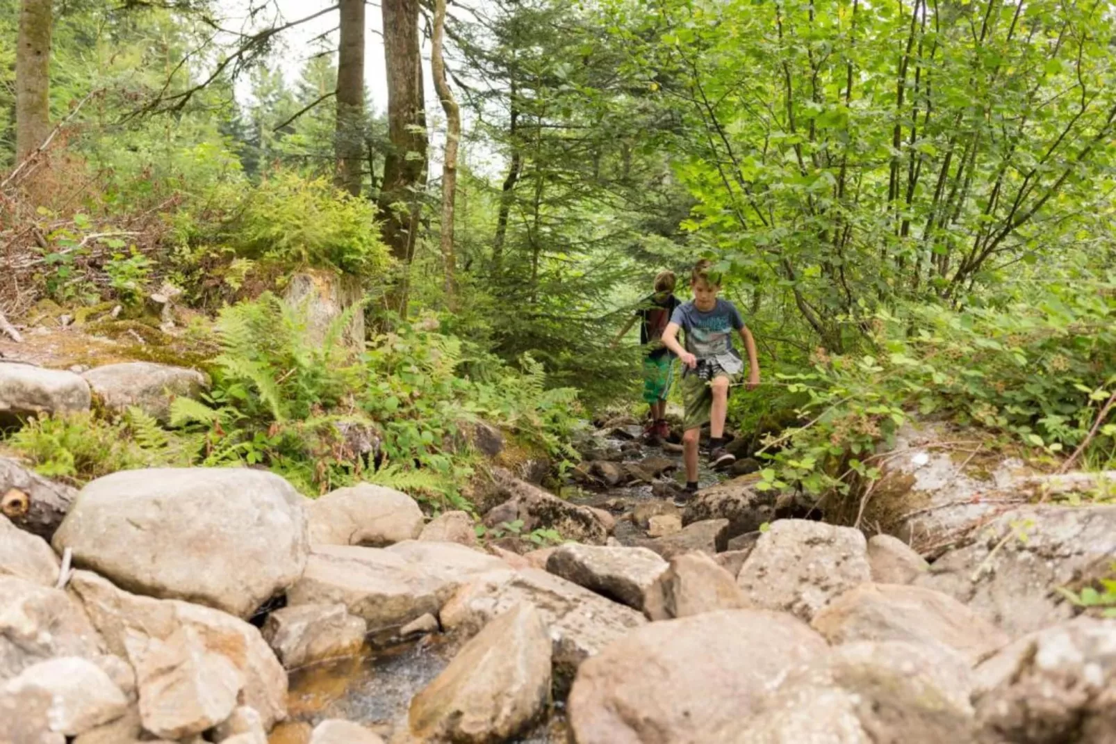 Domaine Des Messires 2-Areas within 5km in summer