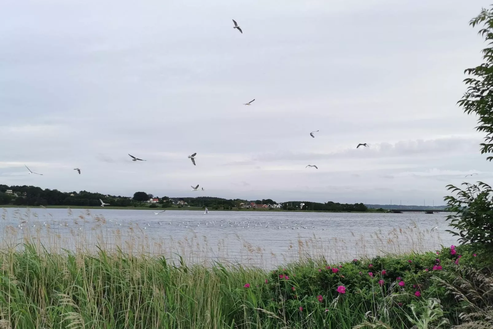 4 Personen Ferienhaus in Hadsund-By Traum-Wasserblick