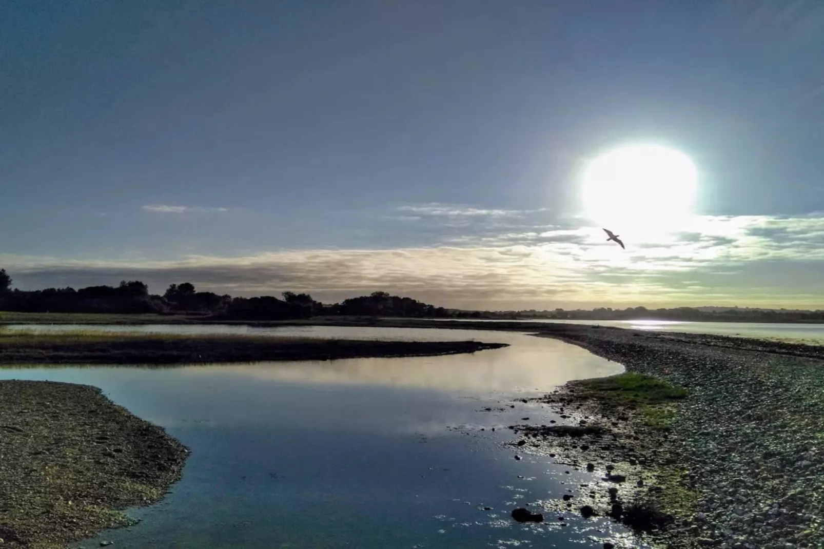 4 etoiles maison de vacances a Rønde-By Traum-Vue sur l'eau