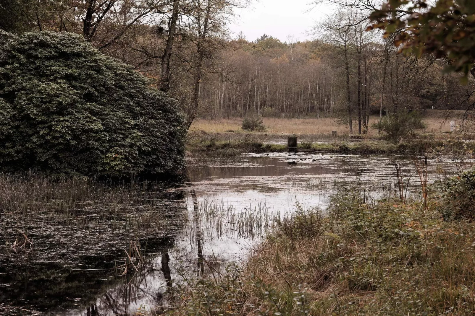 4 Sterne Ferienhaus in Hovborg-By Traum-Wasserblick