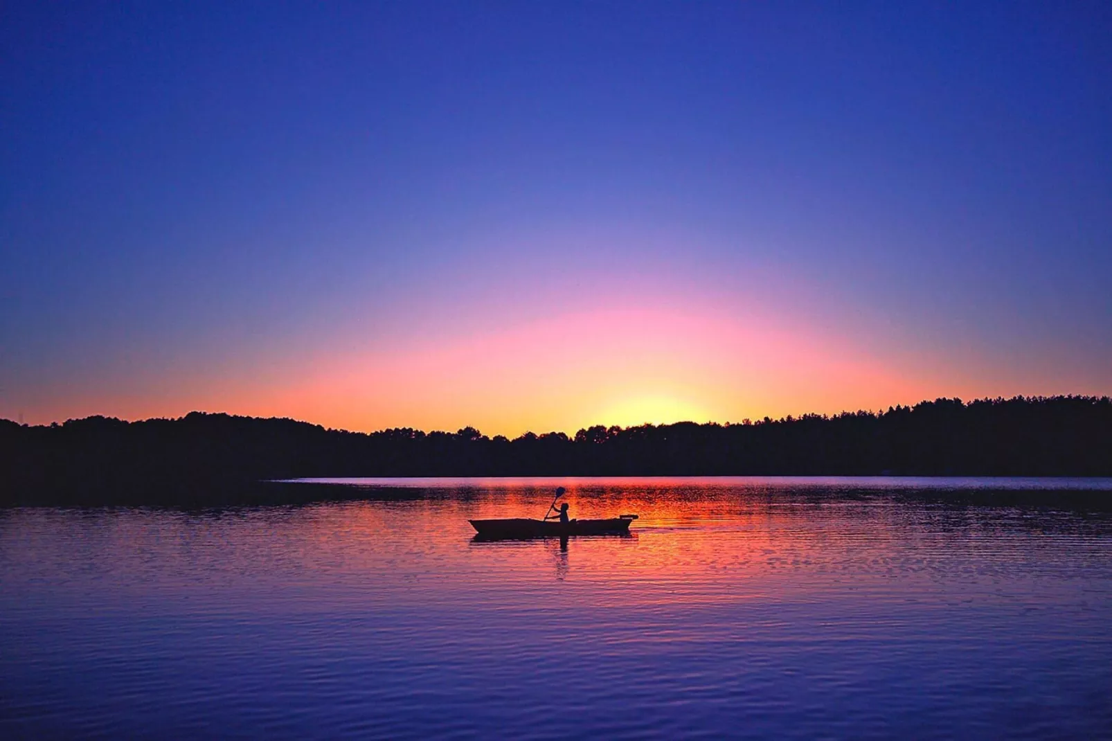 Eisvogel Classic 217-Areas within 1km in summer