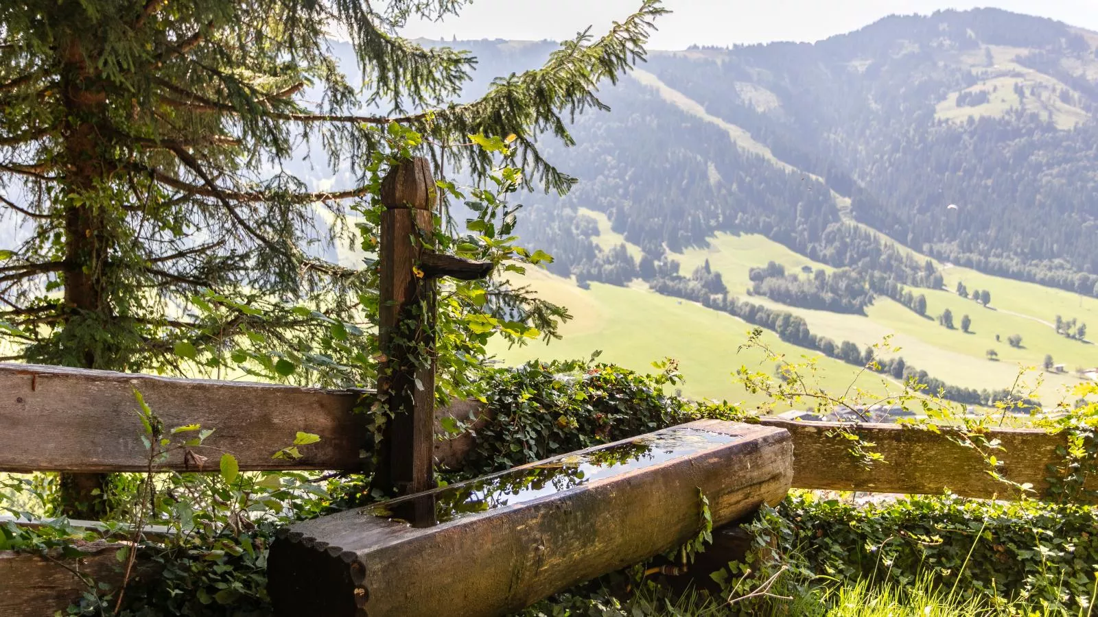 Sonnenhütte unten-View in summer