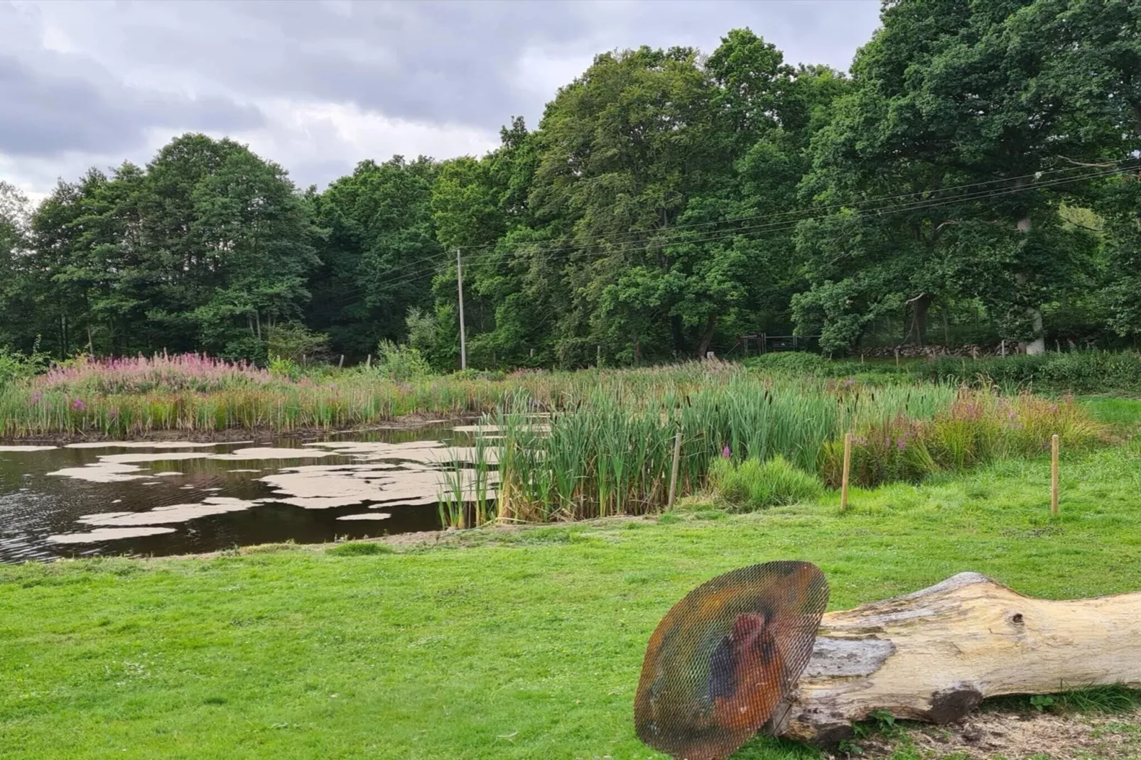 4 person holiday home in Hoor-Water view