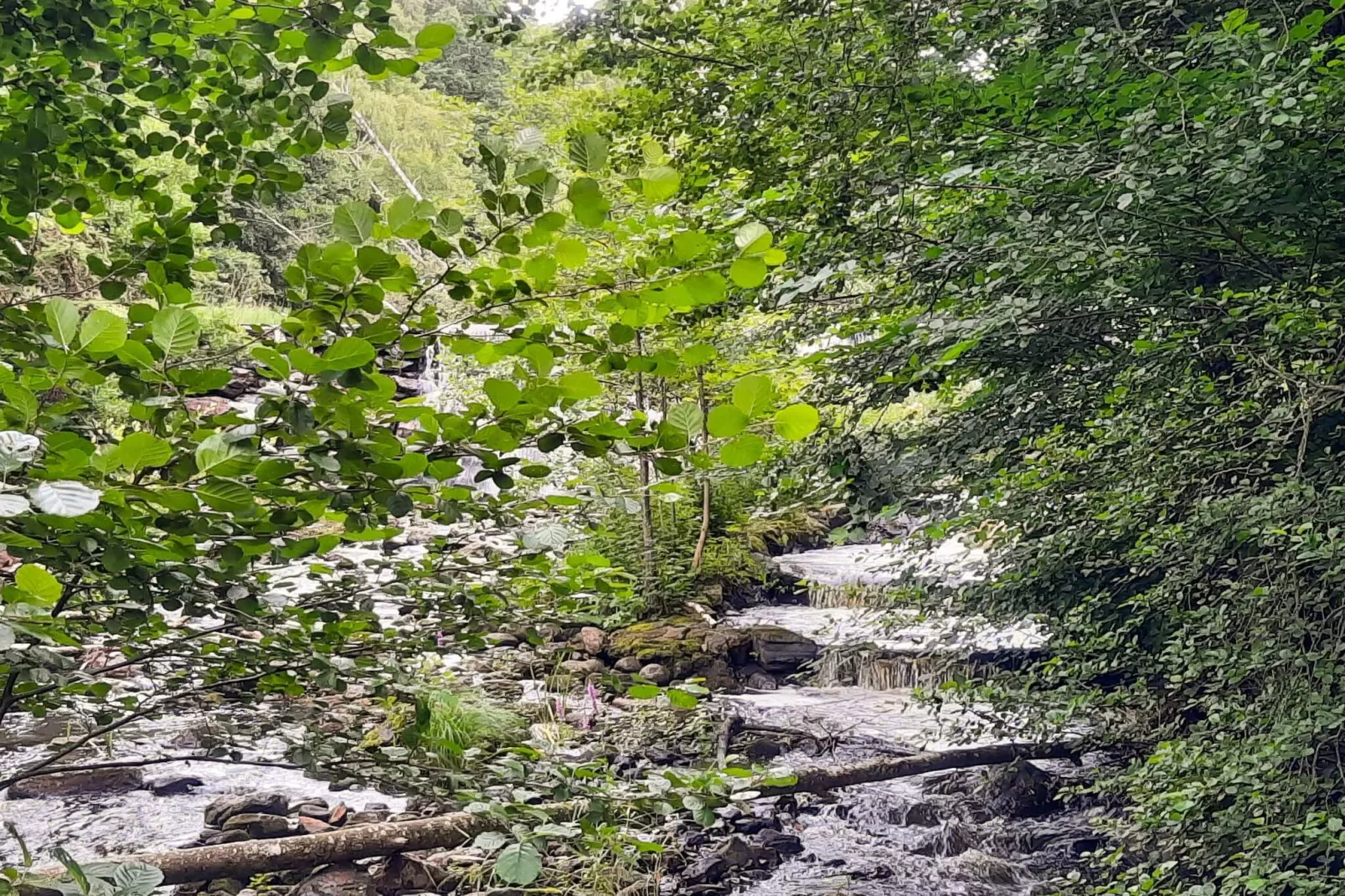 4 star holiday home in MUNKA-LJUNGBY-Water view