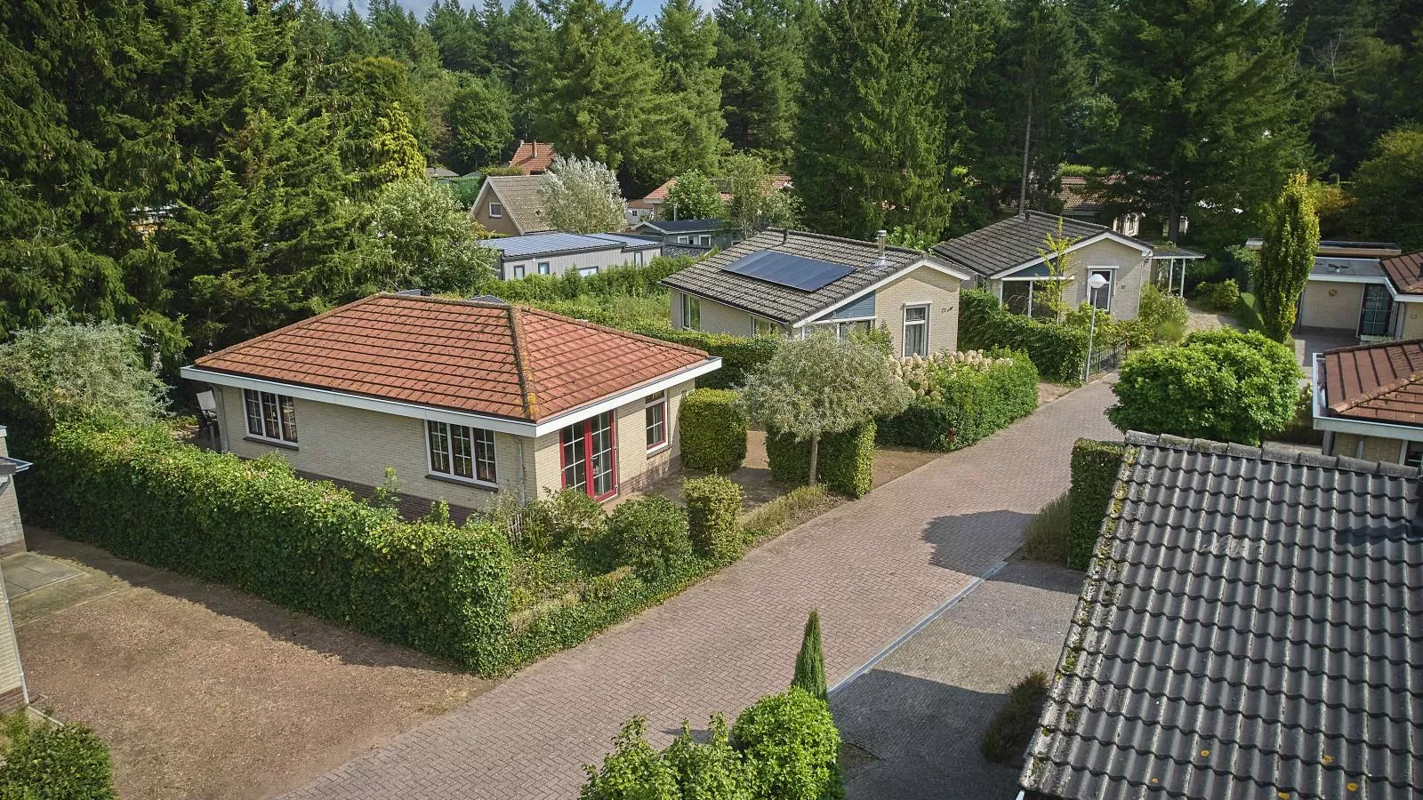 Heidepracht-Extérieur été