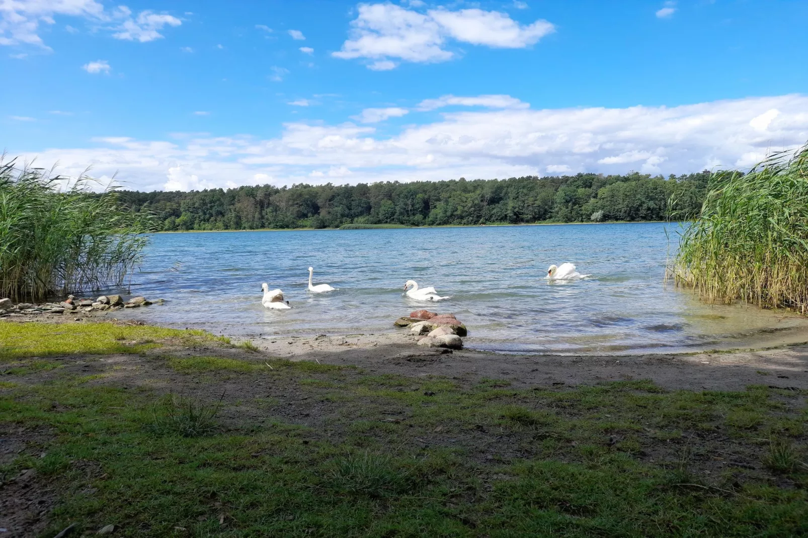 Luxus Appartement / 6 Personen-Areas within 5km in summer