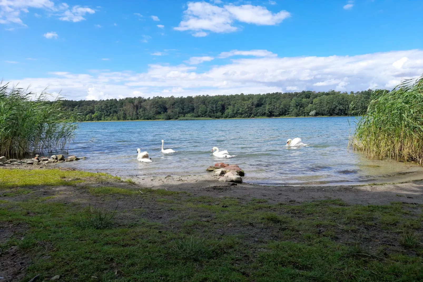 Luxus-Familienappartement / 8 Personen-Zones été à 5 km