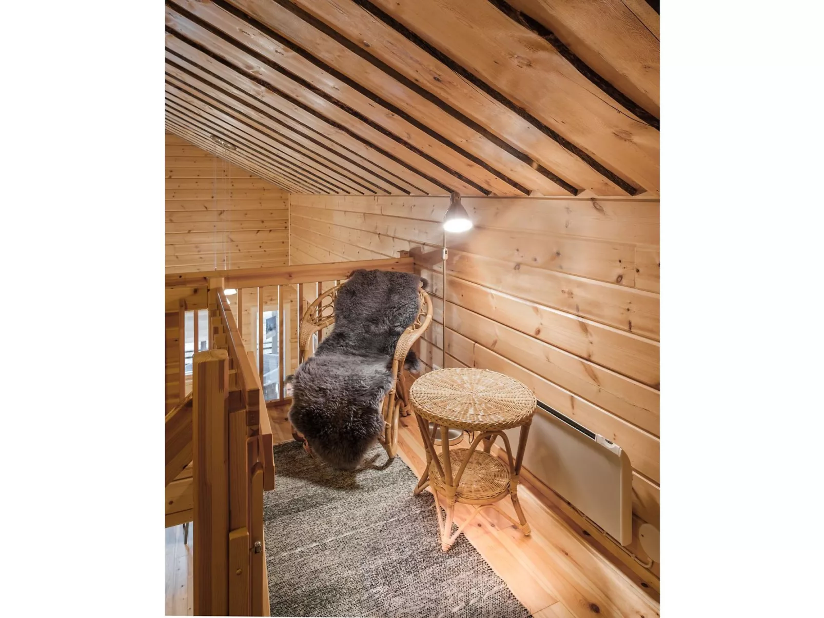 Kevätruska b-Dedans