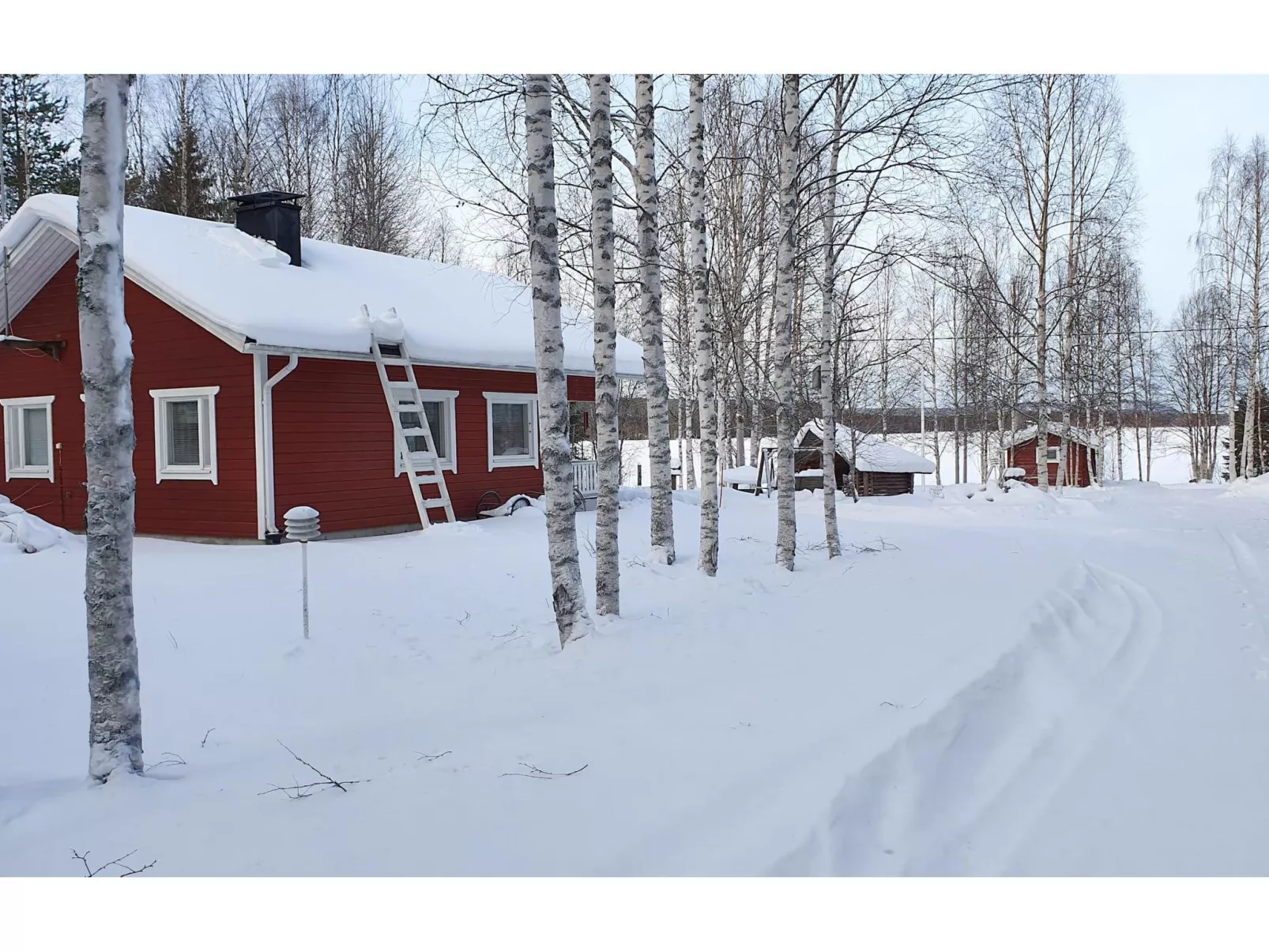 Koivulahden reinola-Inside