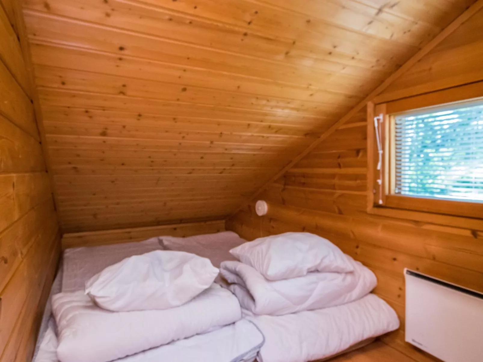 Hirvasaho b 2-Dedans