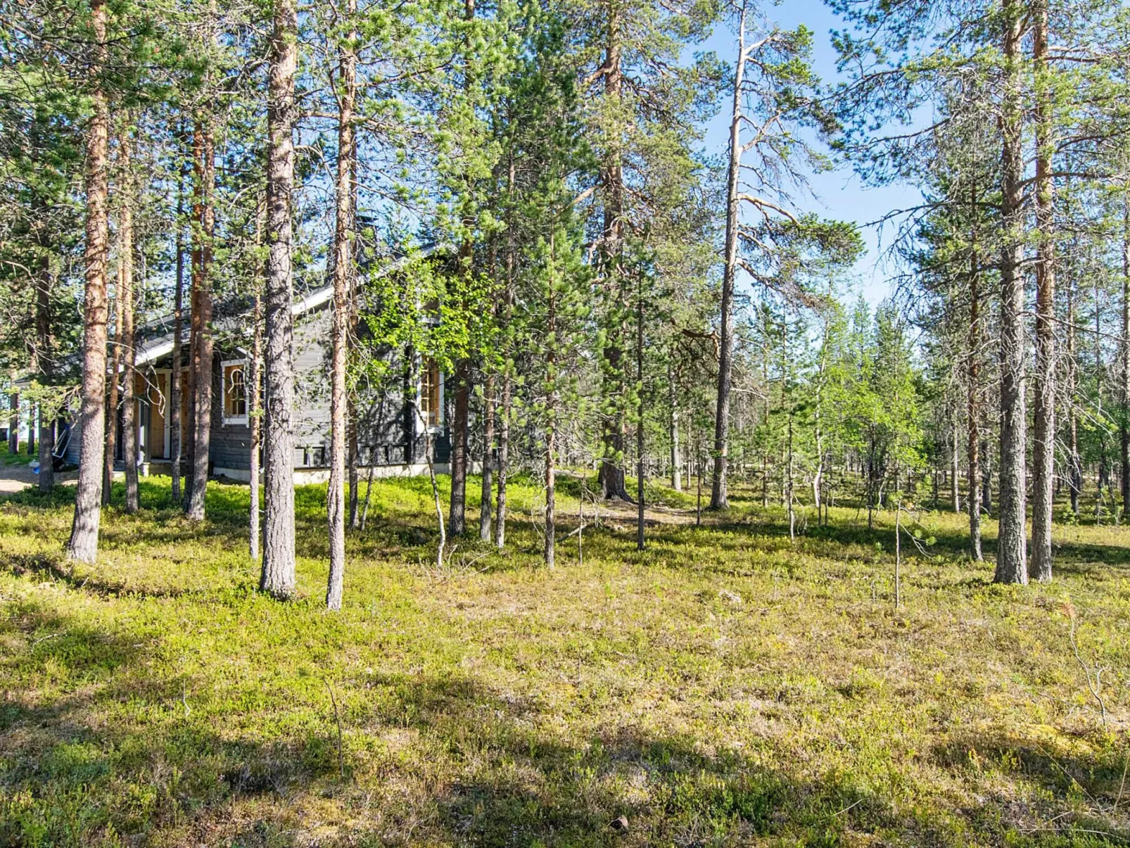 Kuksatie 7 b-Drinnen