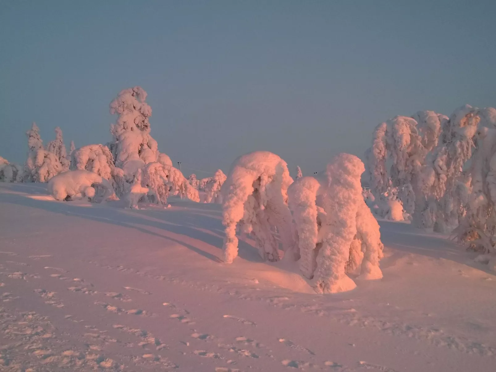 Moitakuru a10-Dedans